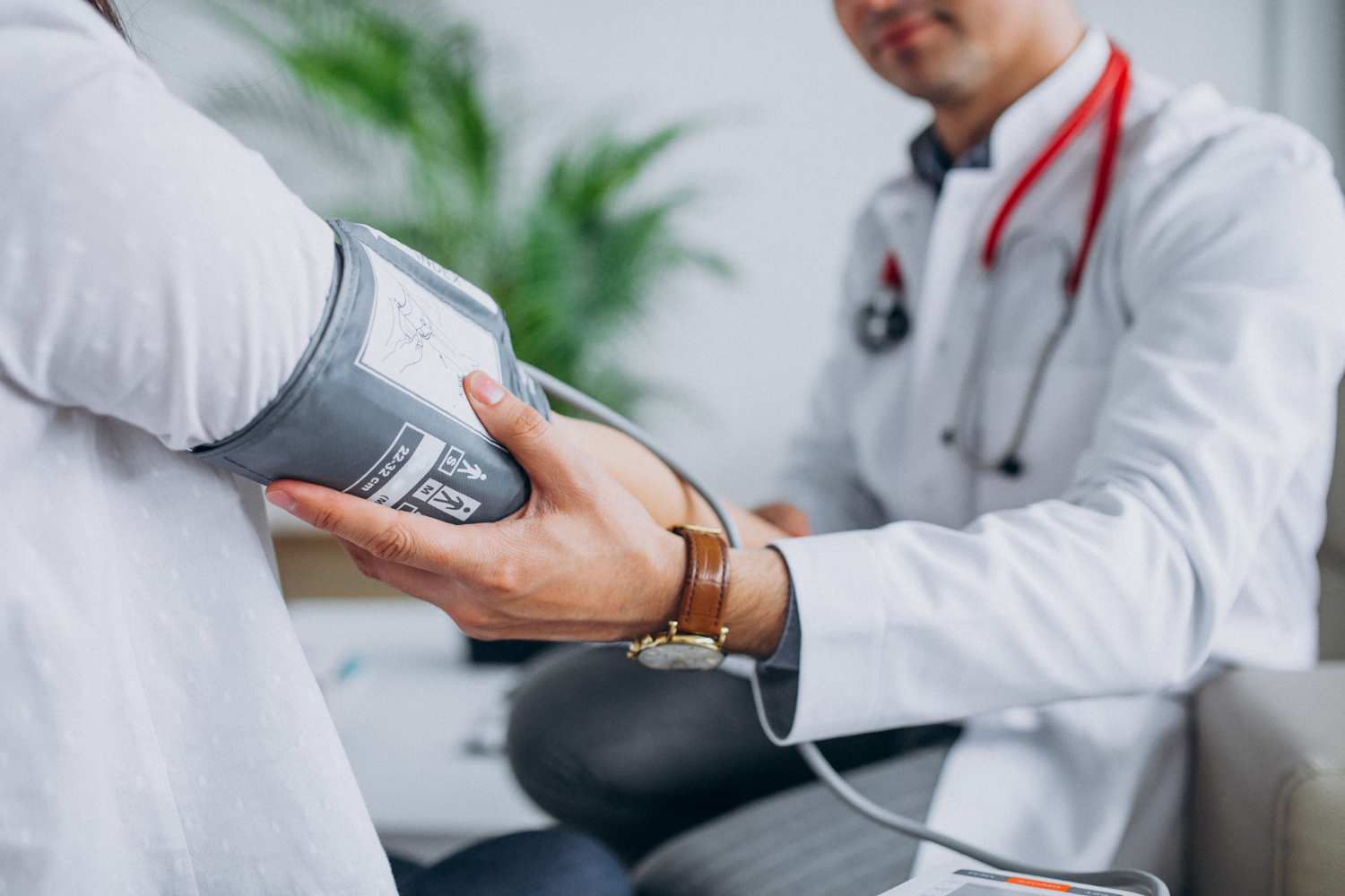 Otros profesionales de la salud