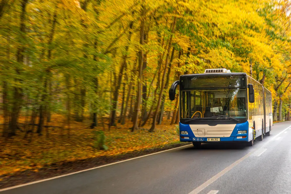Autobuses